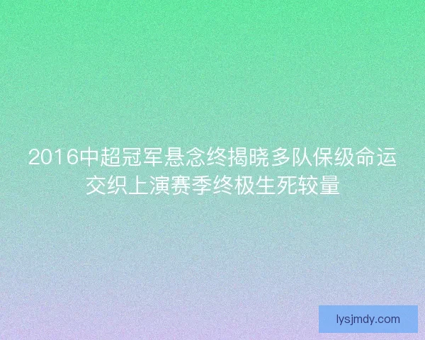 2016中超冠军悬念终揭晓多队保级命运交织上演赛季终极生死较量